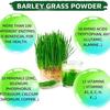 Barley Grass Powder Original 100% healthy Pure Organic Barley for weight loss body detox keto diet Barley grass powder healthy slimming drink