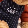 Niedliches Anime-Plüschtier Bailey, weich und bequem, ideal als Deko-Geschenk für Mädchen