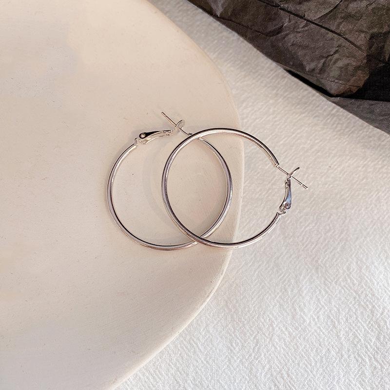 European and American exaggerated atmospheric earrings female ins cold wind versatile metal earrings 925 silver needle Internet celebrity ear jewelry
