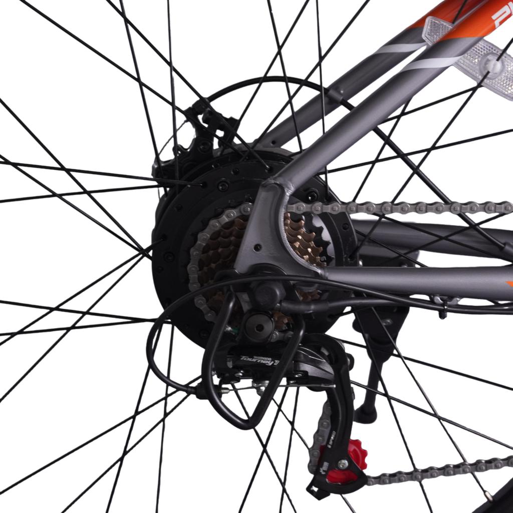 PVY M29 29 Inch Off-Road Electric Bike 48V17.5Ah Battery 250W Motor Electric Bicycle 29 Inch Multi-Terrain Smooth Riding City E-Bike