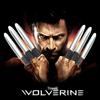 Foldable Wolverine Ejecting Claws - Creative Telescopic Finger Toys