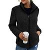 Stand Collar Long Sleeves Pockets Zipper Closure Fluffy Coat Women Autumn Winter