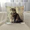2D Flat- Vintage Rustic Maine Coon Cat Throw Pillow Cover Decorative Square Cushion Case For Sofa Bedroom Living Room
