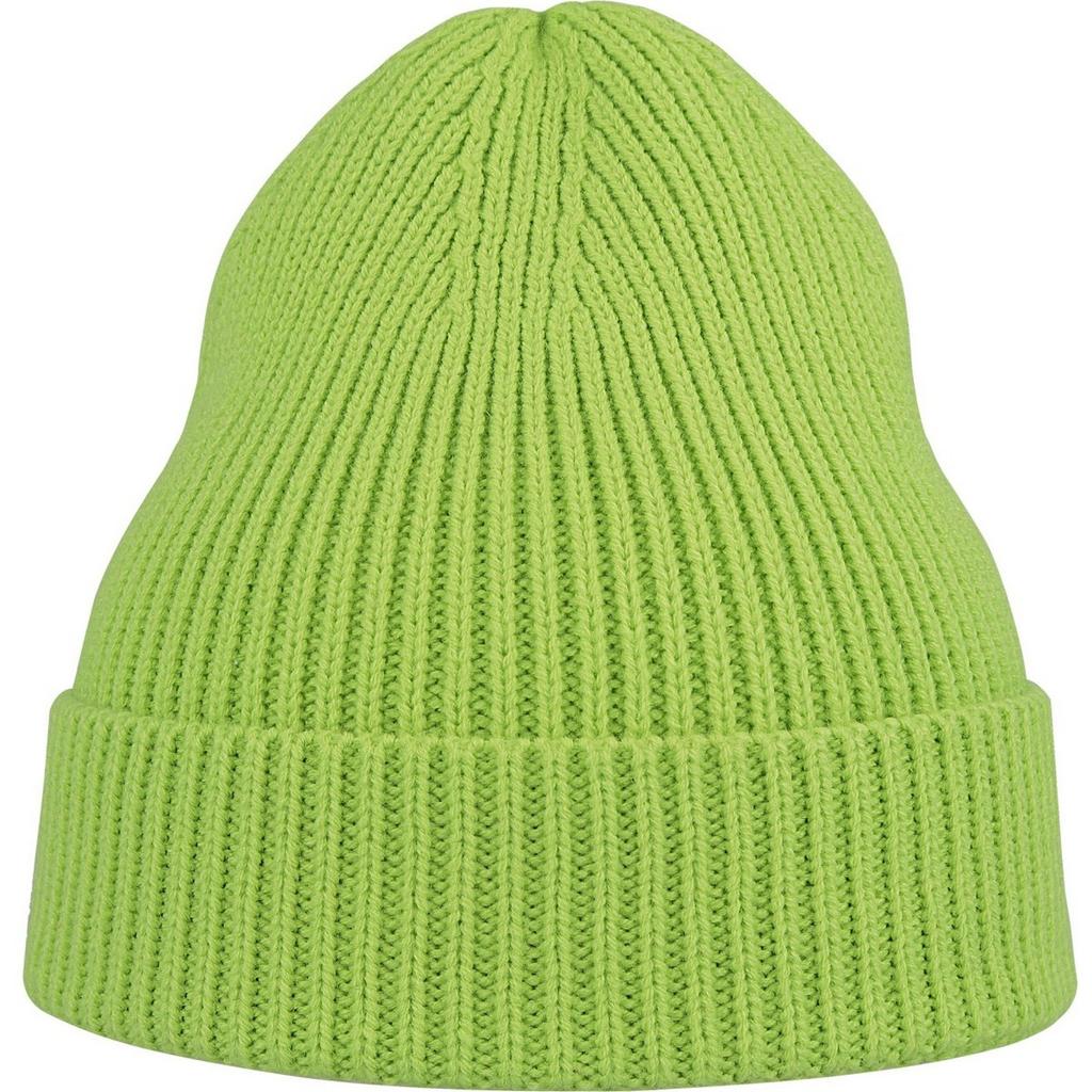 Atlantis Unisex Adult Andy Recycled Polyester Beanie