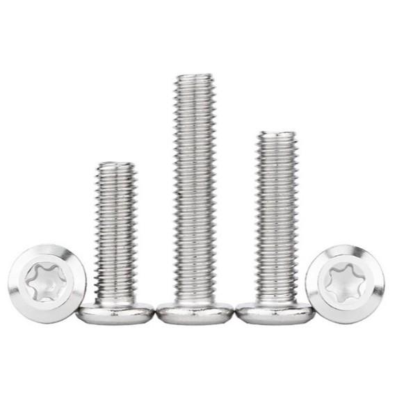 

304 Stainless Steel Anti-Theft Hexalobular Flat Head Screw (M4, M5, M6, M8) M4*6