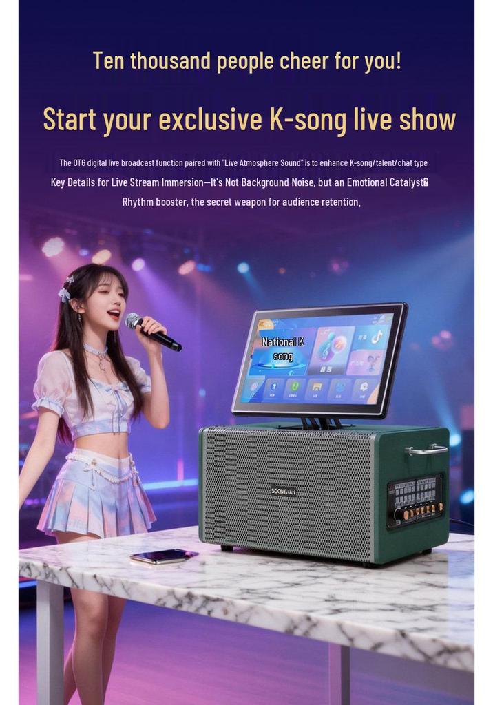 SS1-206 Portable Outdoor Karaoke Speaker: High-Power All-in-One Singing Machine