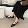 Designer Vintage Women Mary Jane Shoes Pointed Toe Shoes Laides Comfort Dress Street Style Low Heel Shoes