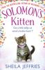 Solomons Kitten by Sheila Jeffries Paperback Book 9781471137600