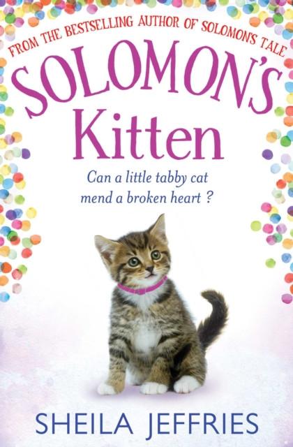 Solomons Kitten by Sheila Jeffries Paperback Book 9781471137600