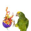 Birds Toys Colorful  Foot Rolling Parrot Training Ball Parrotlet Cockatiel Lovebird Bite Resistant Playing Accessories