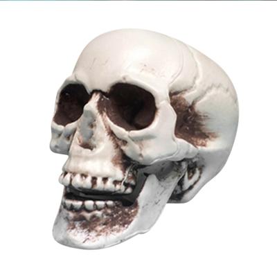 Lebensgroßes menschliches Schädelmodell, Halloween-Dekor, Skelettschädel, realistischer menschlicher Erwachsener Schädelkopf, Knochenmodell, Friedhof, Outdoor-Dekoration
