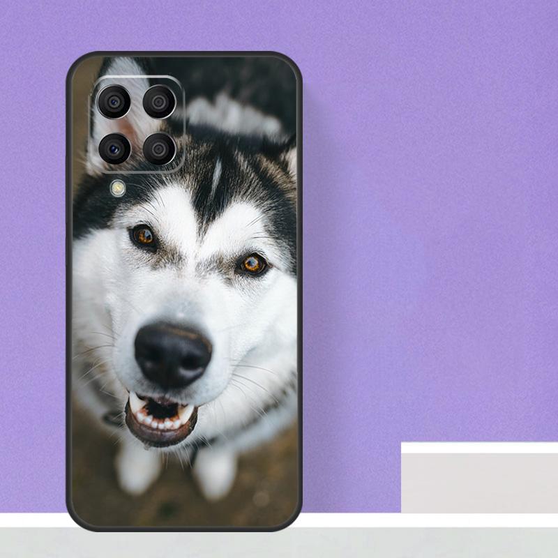 Animal Husky puppy Case For Samsung Galaxy M14 M34 M54 M31 M11 M13 M53 M51 M12 M32 M52 M16 M36 M56 M15 M35 M55