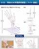 KIYOMARU Wrist Joint Model, Human Body Model, Bone Model, PT Supervised, Skeleton Specimen, Removable from Support, Right Hand, Life-Size