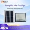 Dengkeshi Solar LED Starry Floodlight