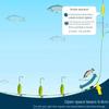 Three Hook Carp Fishing Hook Automatic Flipping Carp Rigs Fishing Lure  Fishing Tackle
