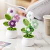 Crochet Potted Plants Flower Handmade Forget-Me-Not Wovening Flower Office Desktop Ornaments Car Automotive Interior Gifts