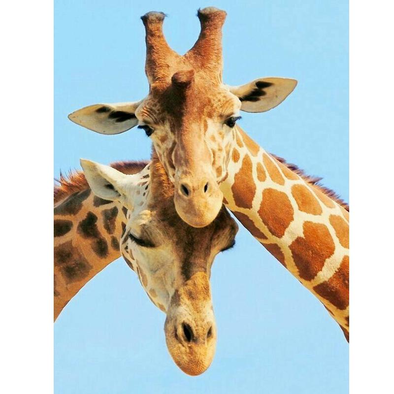 DIY 5D Diamond Painting Cross Stitch Kits Full Round Resin Rhinestone Mosaic Daimond Embroidery Animals Giraffe Home Decoration