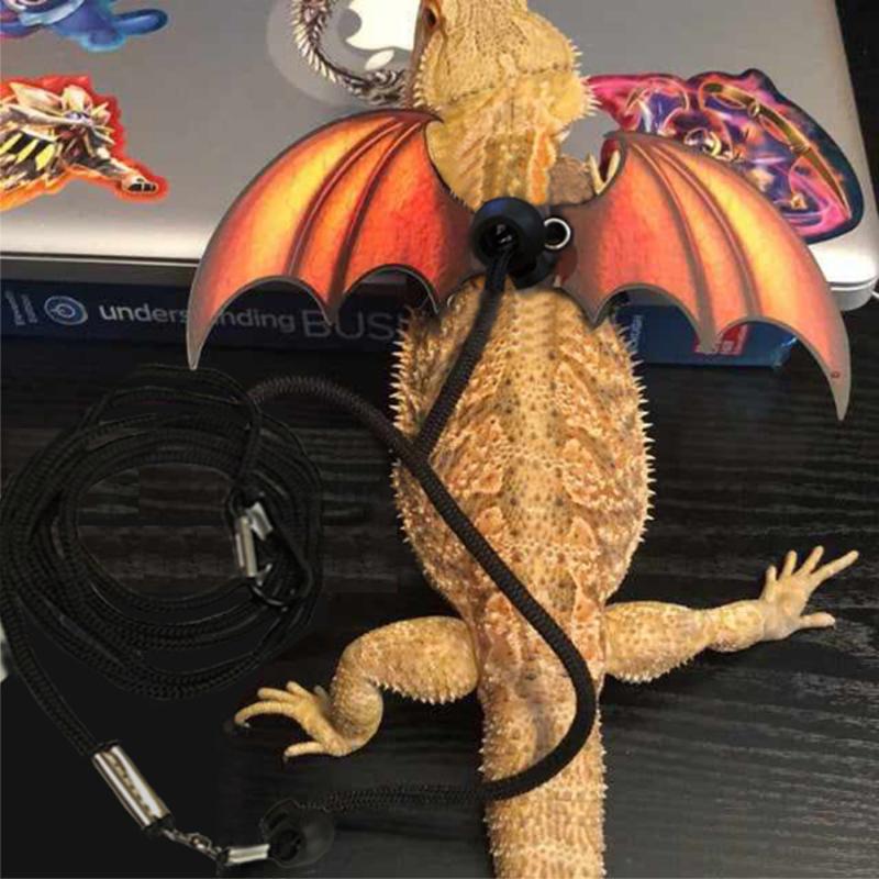 Leather Harness Leash Wing Design Adjustable Outing Walking Leash For Bearded Dragon Lizard Reptiles