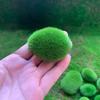5Pcs Simulated Moss Stone, a realistic moss-covered stone, used as a prop for photography, landscaping decoration, miniature landscape arrangement