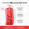 Slek Silk Camellia Frizz-Smoothing Shampoo Set