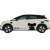 BYD Dolphin Side Body Stickers: Violent Bear Design for Scratch Cover and Decoration