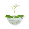 Hydroponic Floral Arrangement Holder Transparent Acrylic Desktop Decoration Multifunctional Container