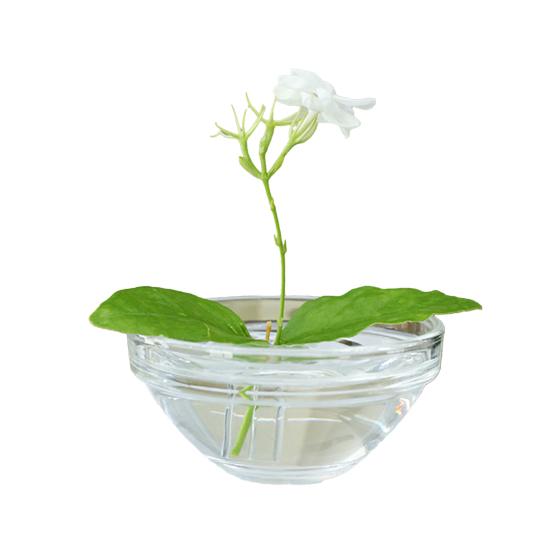 Hydroponic Floral Arrangement Holder Transparent Acrylic Desktop Decoration Multifunctional Container