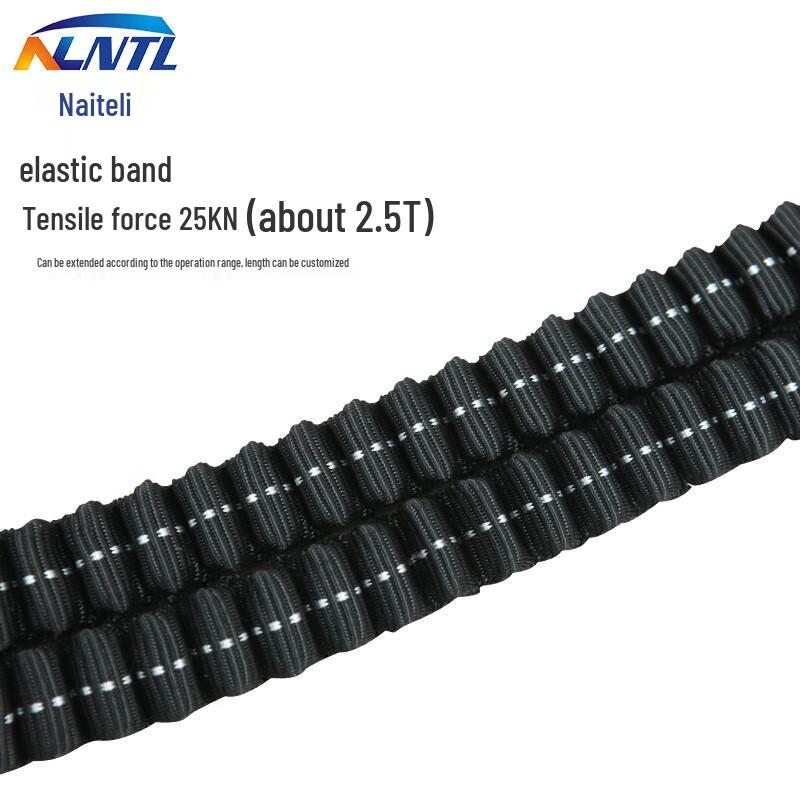 NLNTL Elastic Anti-Fall Safety Lanyard