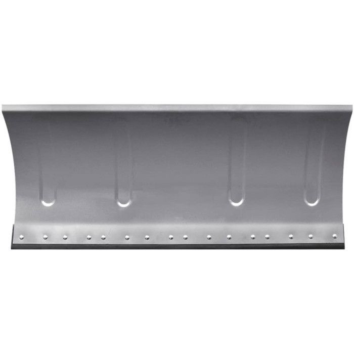 VidaXL Lame de chasse-neige universelle 100 x 44 cm