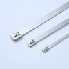 304 Stainless Steel Self-Locking Cable Ties, 4.6mm-19mm, Marine-Grade Tray Fasteners