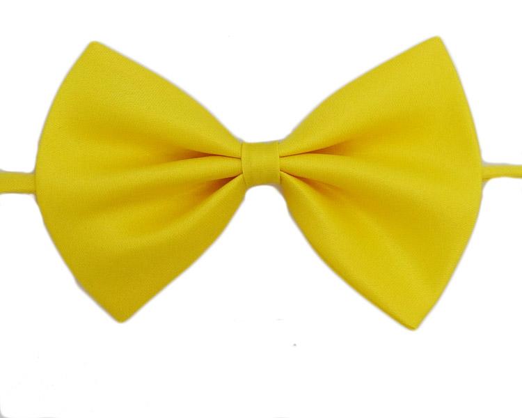 Junge Mädchen Haustier Fliegen Einfache Schmetterlingsfliege Hochzeit Neues Geschenk Fliege Neuheit Halsbekleidung Accessoires CA44