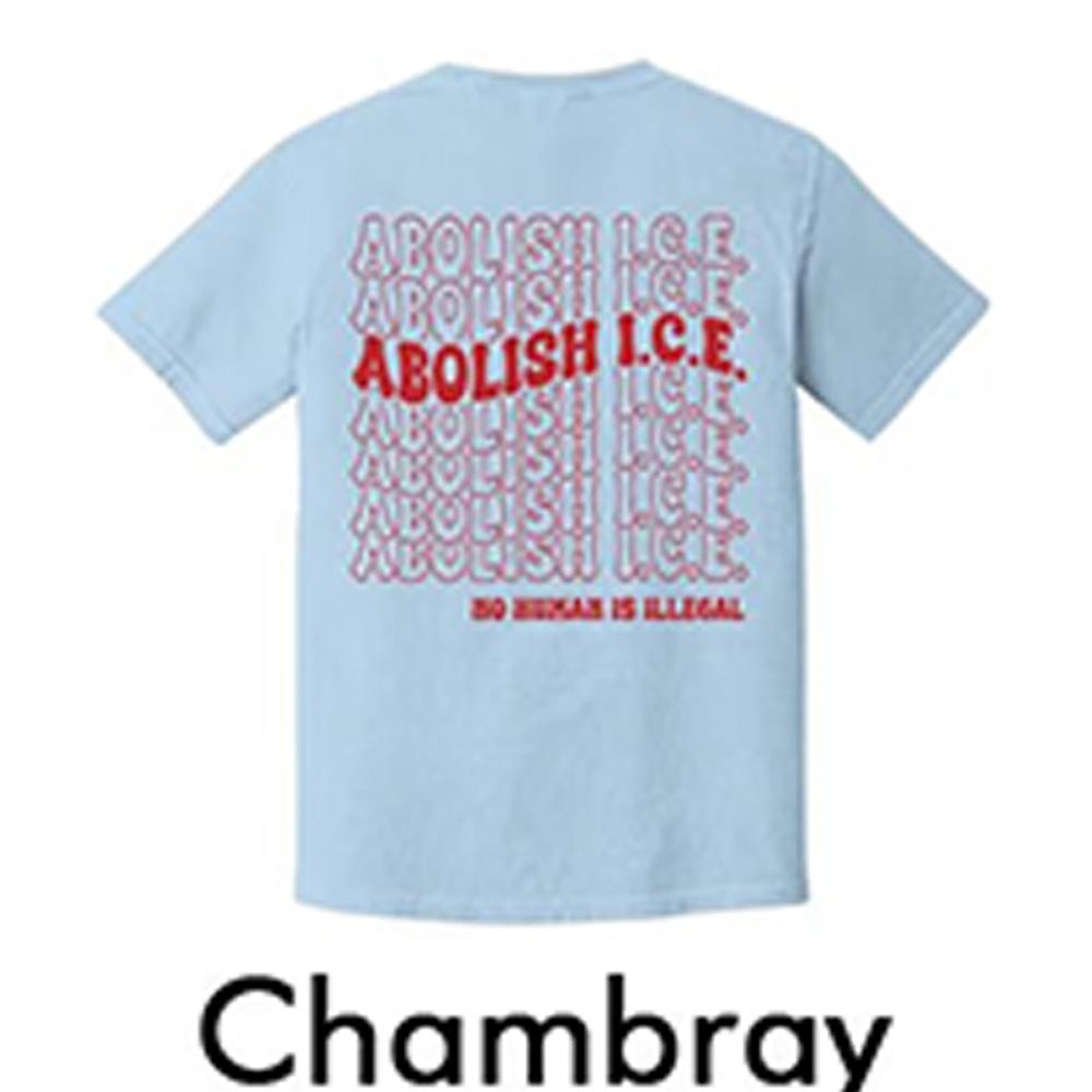Vintage Dark Academia Bookish Literary Shirt Abolish Ice No Human Is Illegal 2 Sided Comfort Shirt Social Unisex Top Streetwear