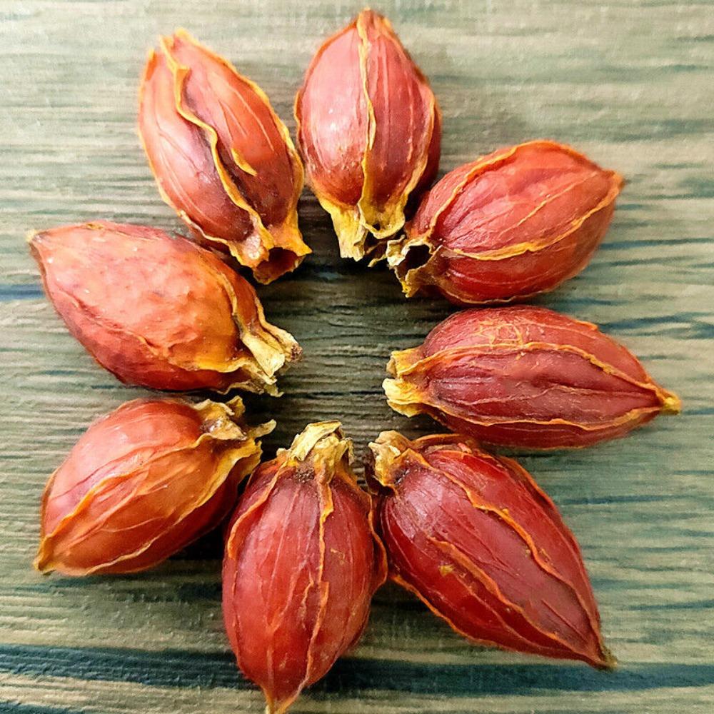Gardenia Rote Frucht Tee Kräuter loser Tee 17,6oz Großpackung