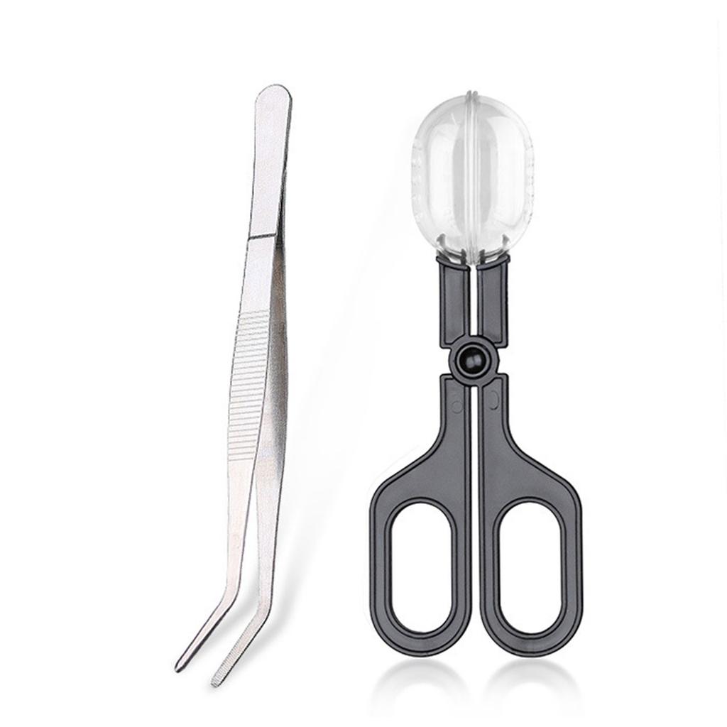 Reptiles Feeding Tongs Clamp Long NonSlip Catching Tool Stainless Steel for Safe Pet Food Handling