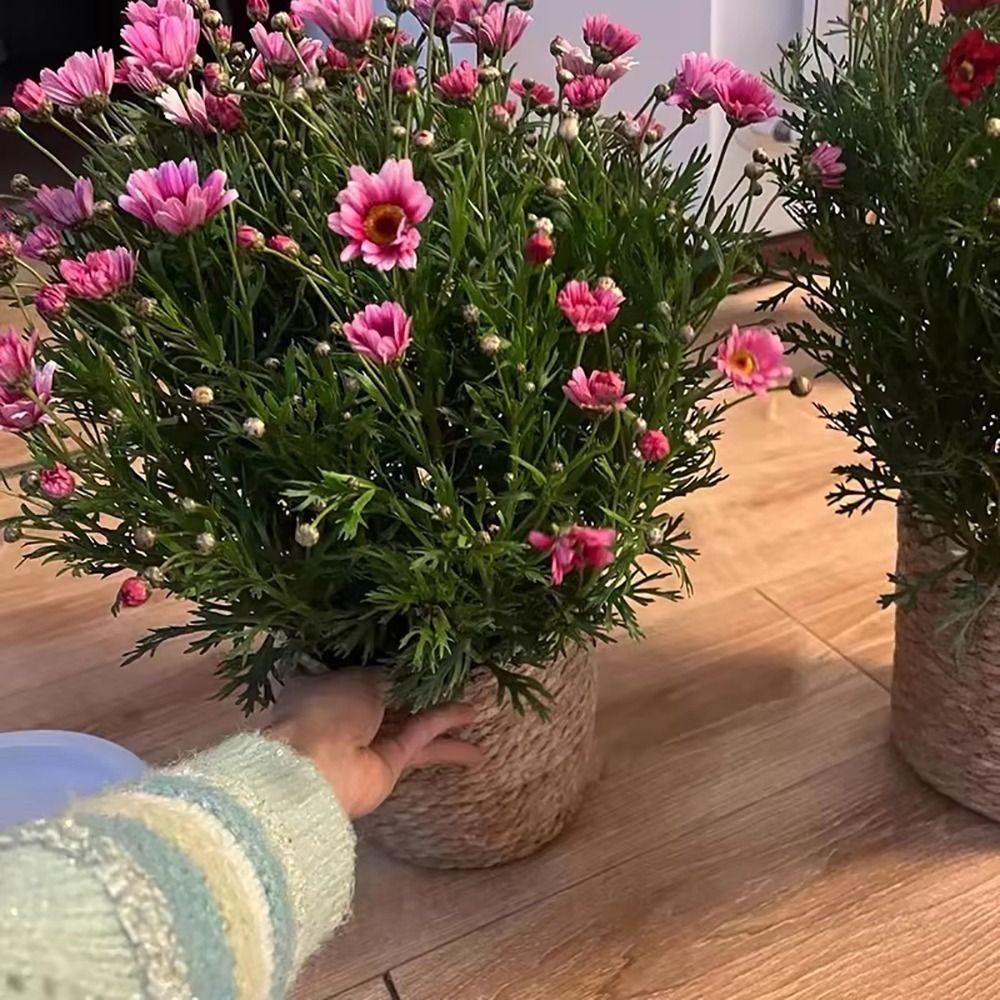 1Pcs Rattan Straw Grass Woven Flowerpot Planter Basket Woven Plant Flower Basket Flower Pot Basket