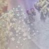 Tomoni & Moshu Winter Luxury Metal Nail Art Stickers: Snowflake & Heart Designs