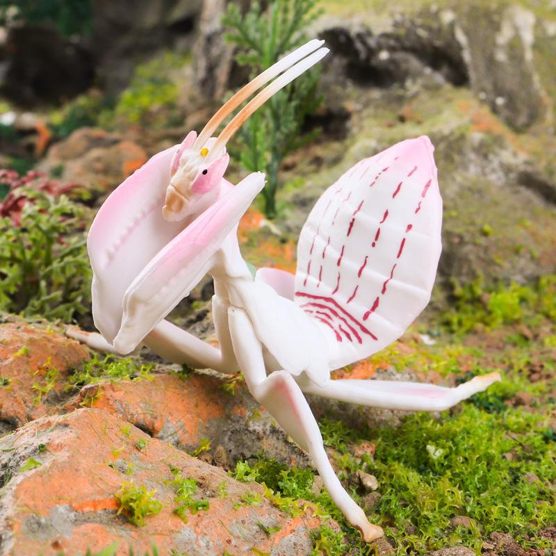 Oenux Wild Insect Animals Model Mantis Grasshopper Butterfly Bee Beetle Action Figures PVC Science Education Collection Kid Toy