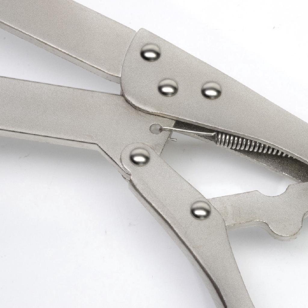 Buy Road Special Tong Steam Repair Tools Motorcycle Tusk Clutch Holding