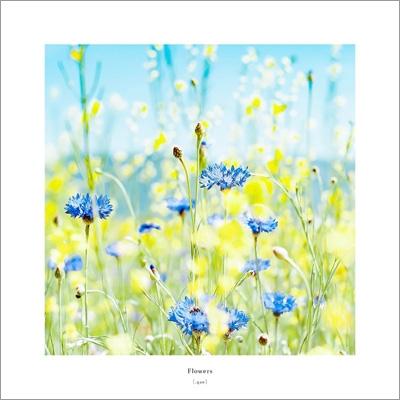 

10inch Record [.QUE] - Flowers EMBLP1 embrace 2019 Japan Dance & Electronica