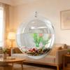 Wall Mounted Fish Tank Vase Transparent Acrylic Material 15cm  Diameter Air Flower Pot Home Living Room Bedroom Decoration