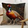 1 Double-Sided Short Plush Decorative Pillowcase, Showcasing a Regular Turkey Design, Measures 45.72cm X 45.72cm Cm, Perfect for Use On the Sofa, In T