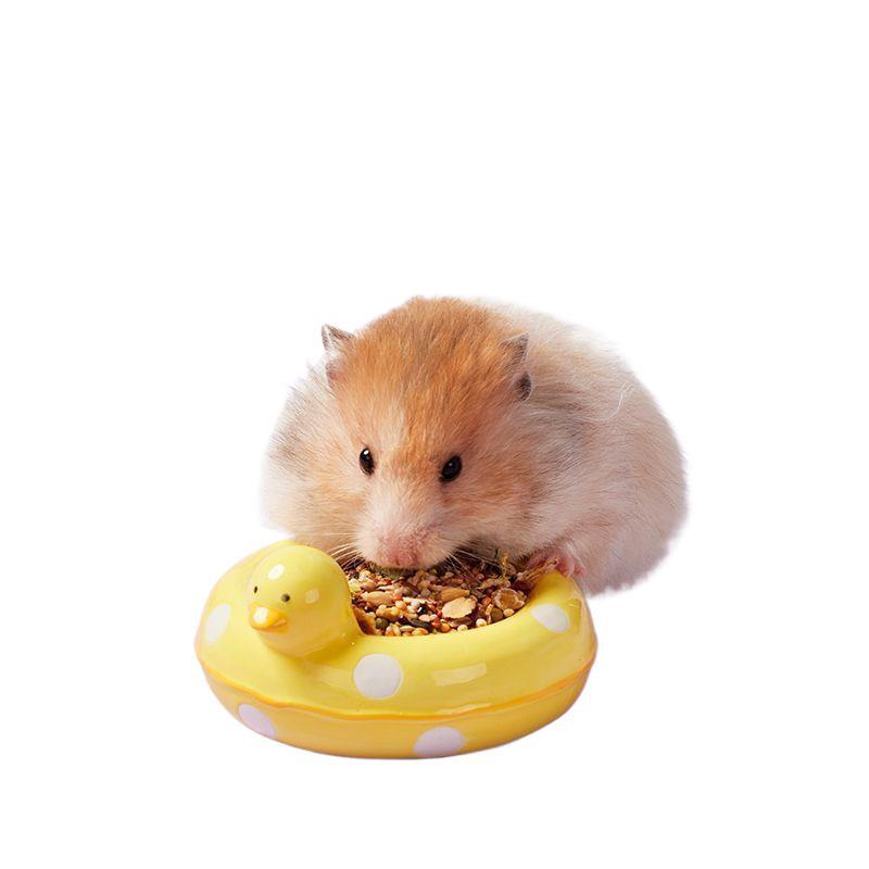 Ceramic Feeding Bowl for Hamsters, Chinchillas, and Guinea Pigs