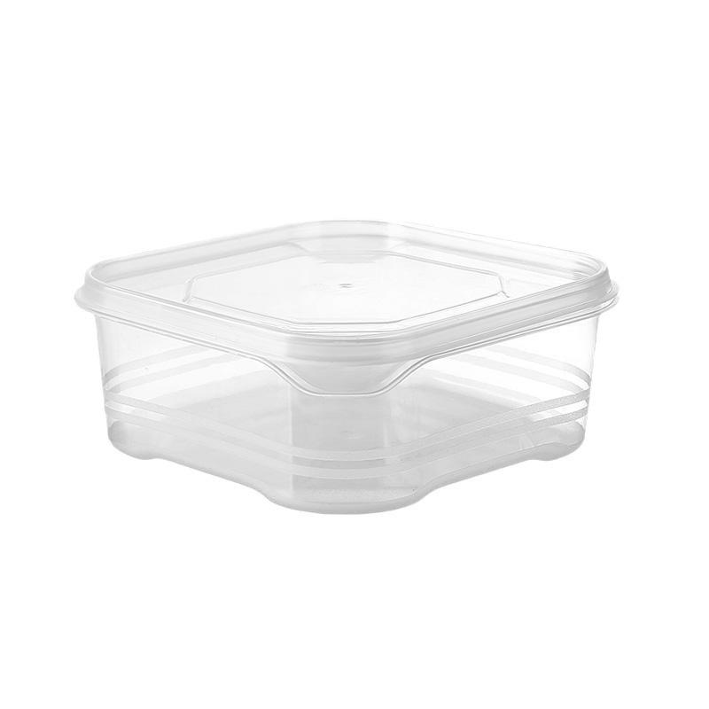 Sealable Refrigerator Storage Box for Fresh Vegetables, Fruits, and Meat - Ideal for Camping