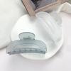 Korean Candy Color Hair Claw Clip - Summer Updo Shark Hairpin