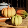 Multifuntional Pumpkin Shape Silicone Mold Silicone Crafting Moulds Suitable for Handmade Candle and Creative Workshops