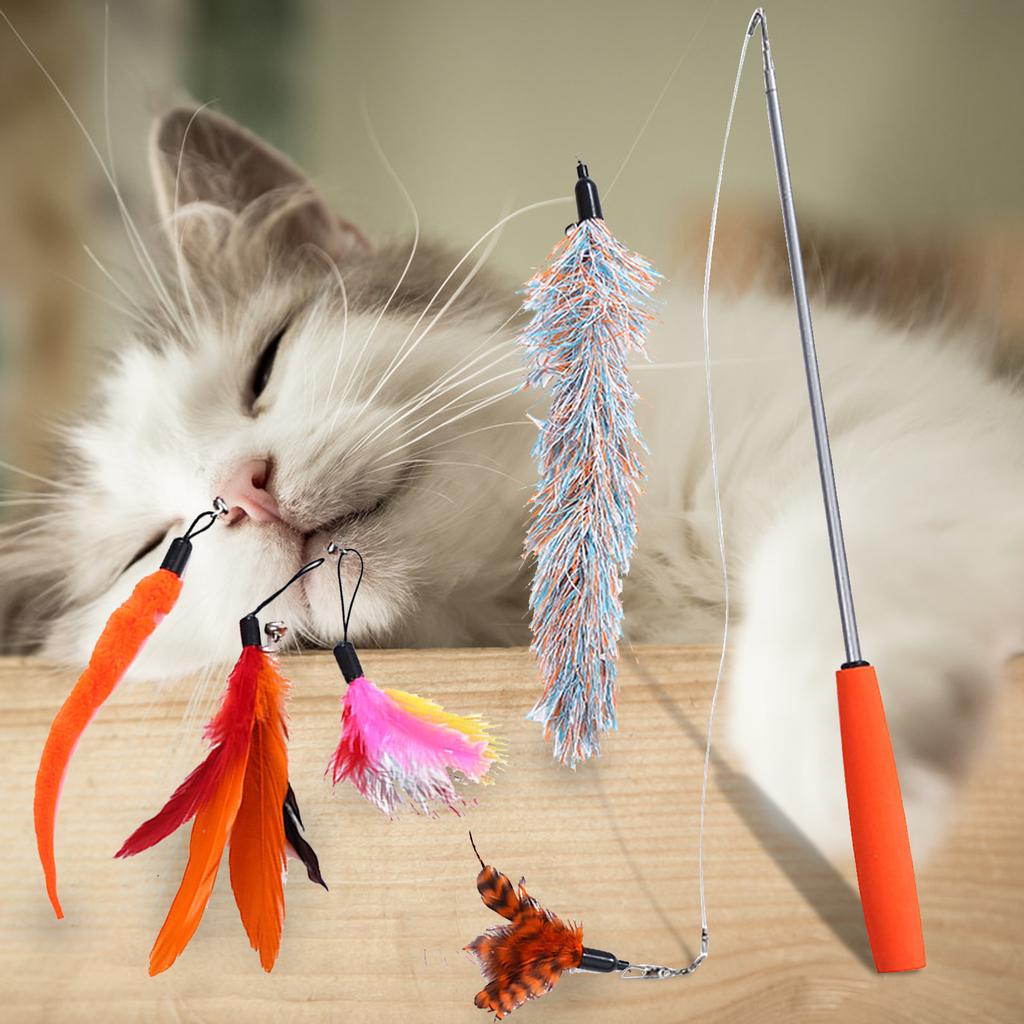 retractable cat toy