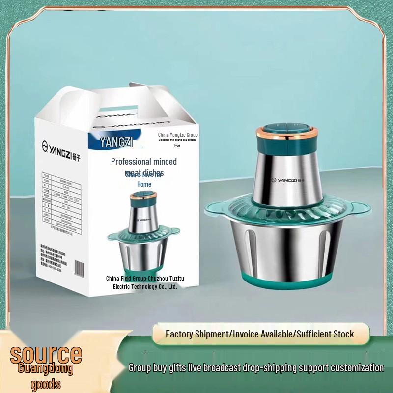 Compact 3L Stainless Steel Electric Meat Grinder & Food Processor