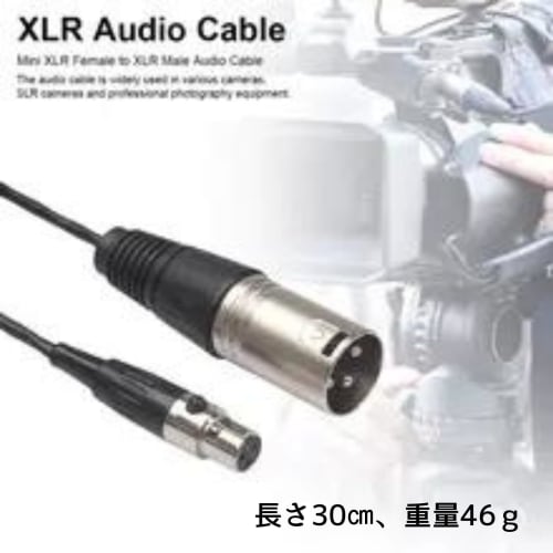 geneX Audio Cable, Mini XLR 3-Pin Female to XLR 3-Pin Male, Compact and Lightweight, 0.3m, Zinc Alloy Casing, Full Copper Casing