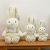 Cute little rabbit plush toy doll soft cute little rabbit doll for children's birthday gift