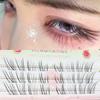 24/48/80 Clusters Glue-free False Eyelashes Easy To Rebound No Need To Remove Segmented Thin Stems for Novice DIY False Eyelashe